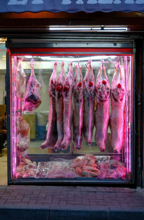 pexels fatma oner 333883680 31998791